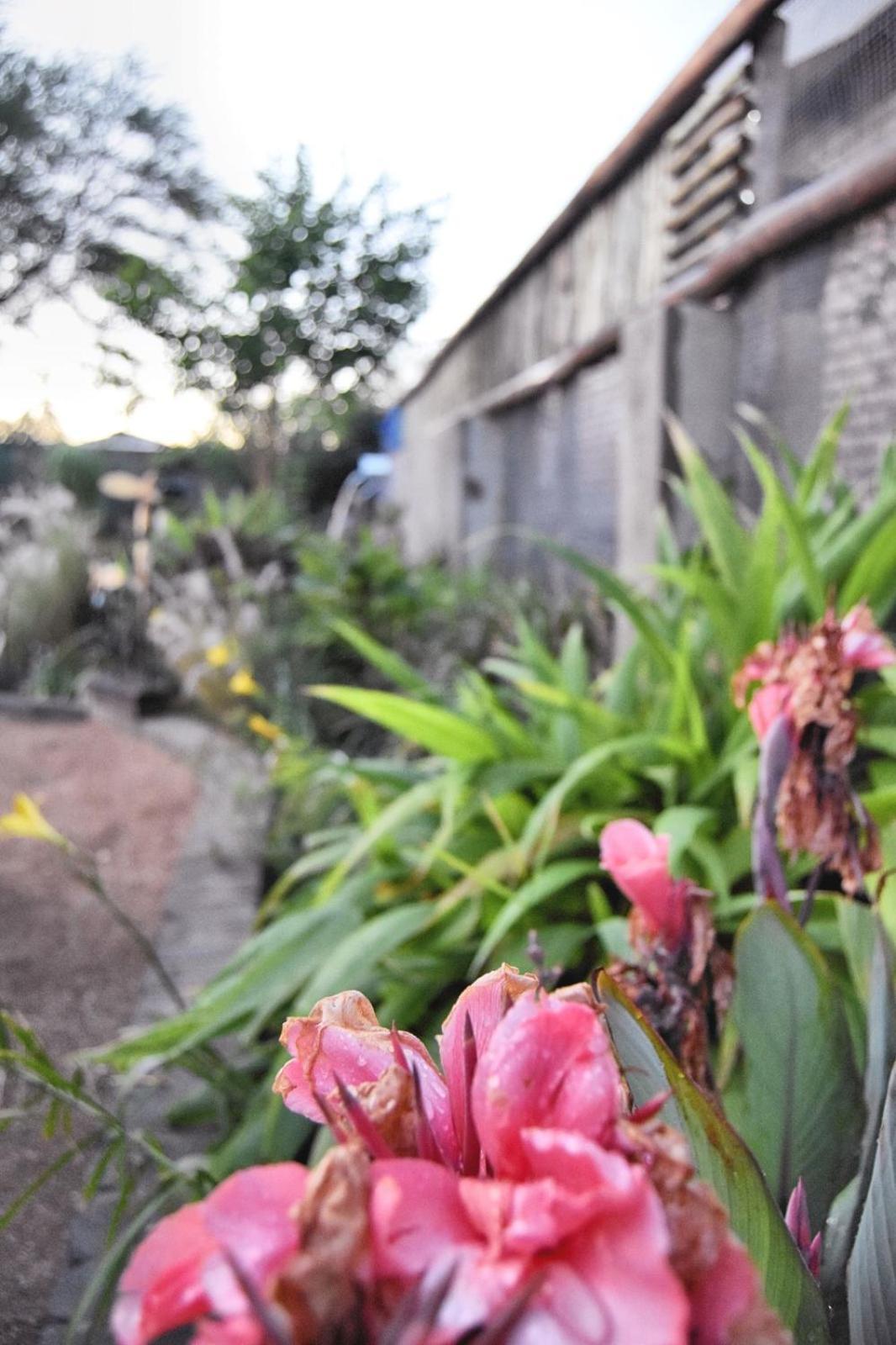Knowhere Selfcatering Unit 1 Na Omaruru Luaran gambar